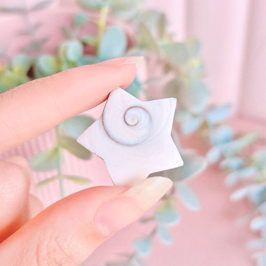 Shiva Shell Star