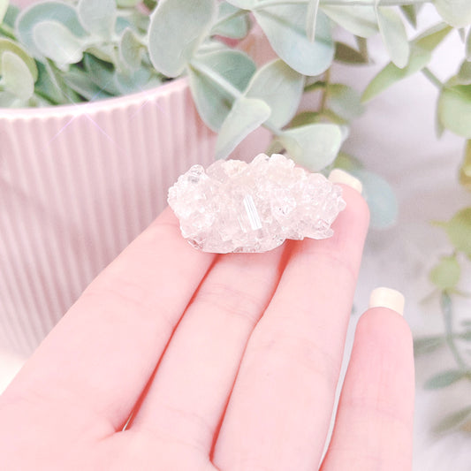 Apophyllite Mini Natural Clusters