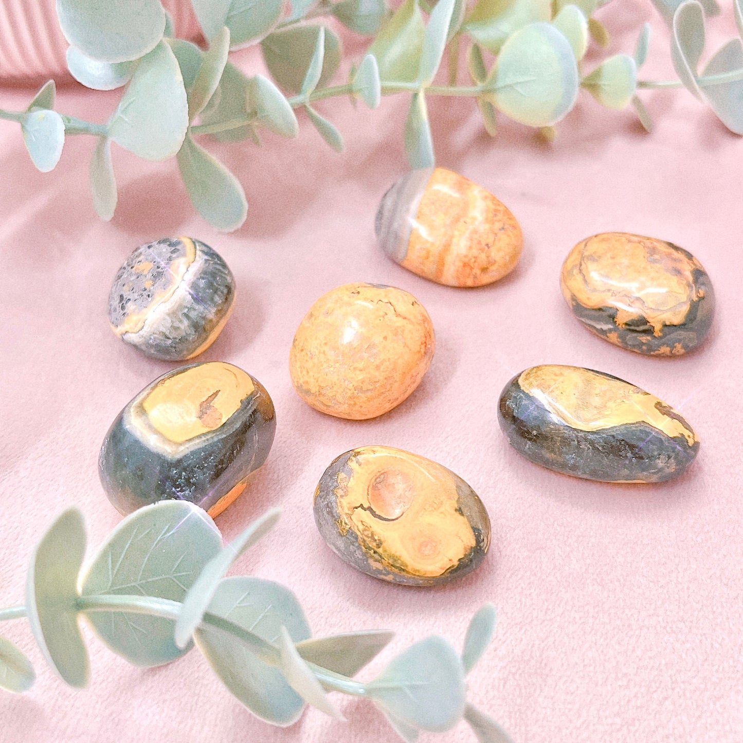 Bumblebee Jasper Tumble