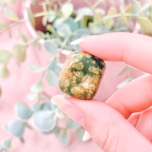 Rainforest Rhyolite Tumble