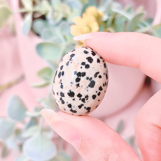 Dalmatian Jasper Tumble
