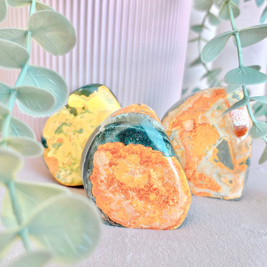 Bumblebee Jasper Freeform