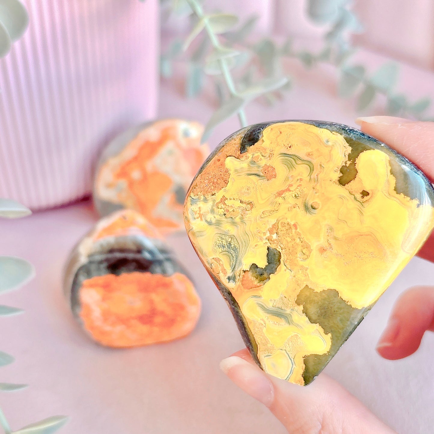 Bumblebee Jasper Freeform