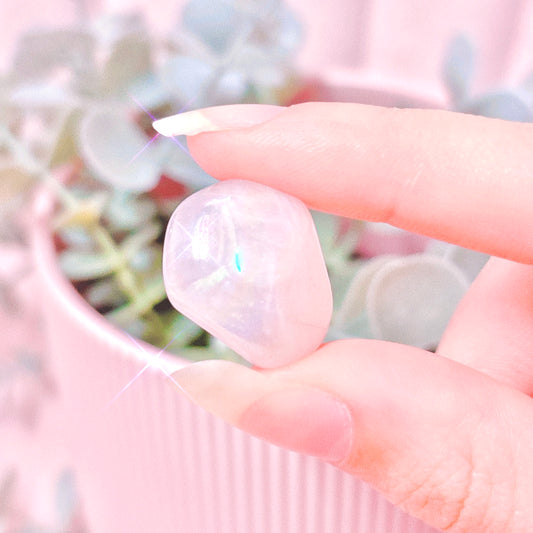 Angel Aura Rose Quartz (Treated) Tumble