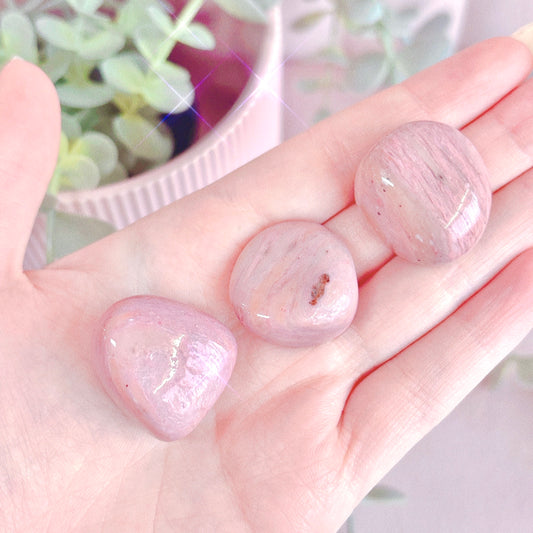 Pink Petrified Wood Tumble