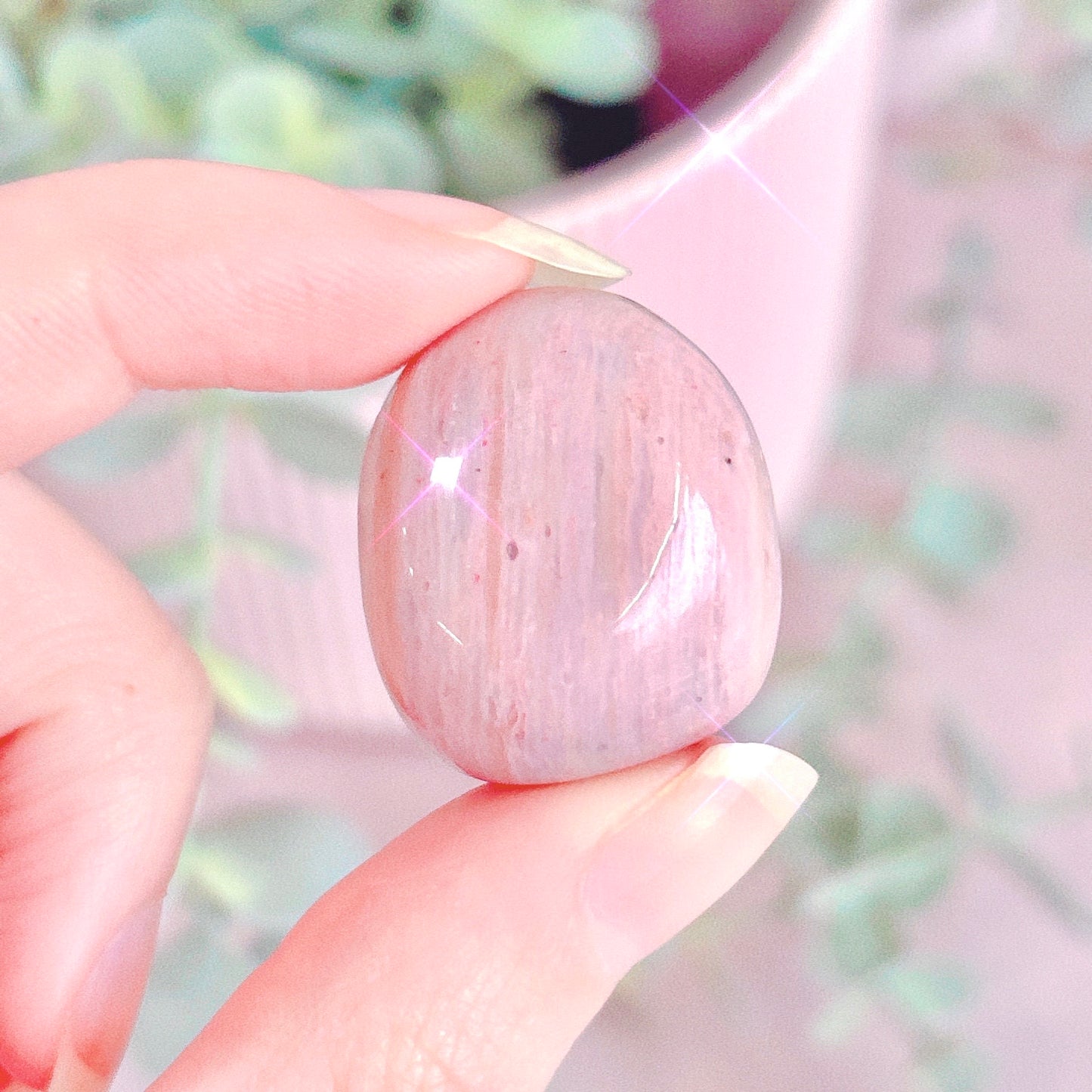 Pink Petrified Wood Tumble