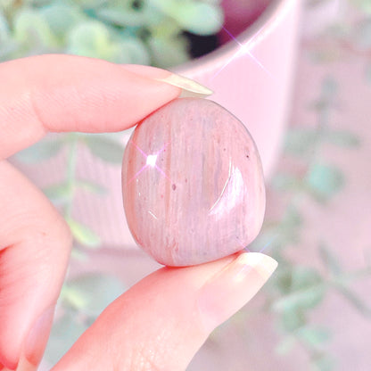 Pink Petrified Wood Tumble