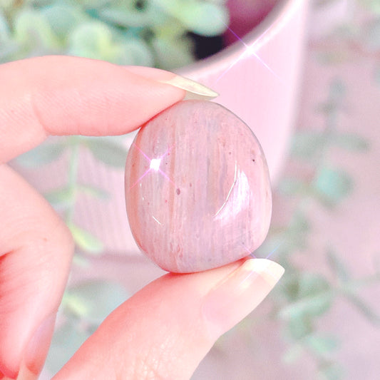 Pink Petrified Wood Tumble