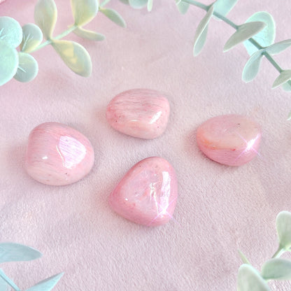 Pink Petrified Wood Tumble