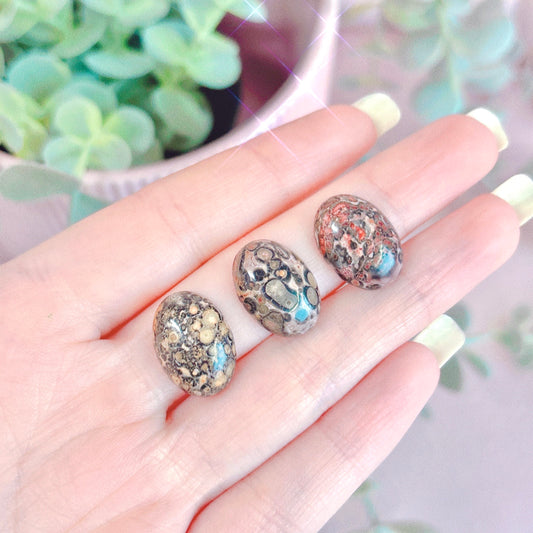 Leopardskin Jasper Cabochon