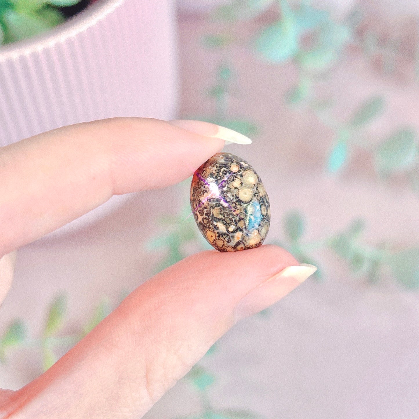 Leopardskin Jasper Cabochon