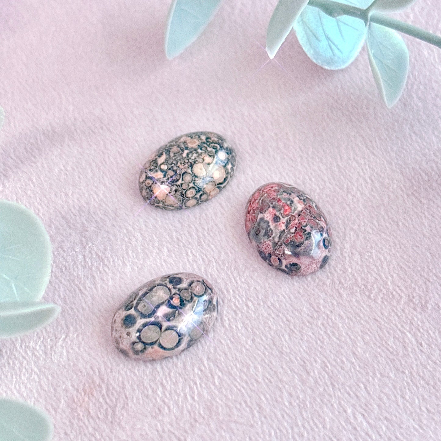 Leopardskin Jasper Cabochon