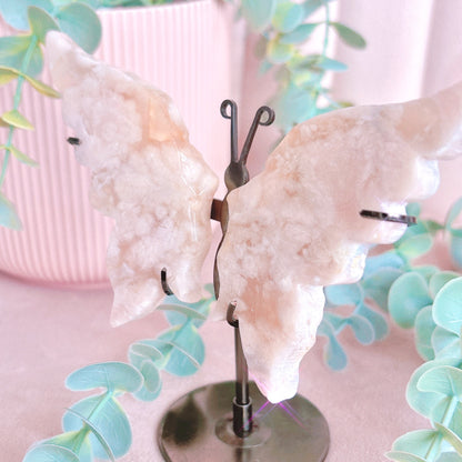 Flower Agate Butterfly Wings - Black Stand 13cm