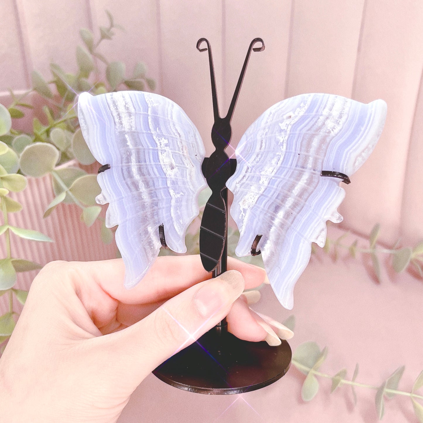 Blue Lace Agate Small Butterfly Wings - Black Stand 13cm