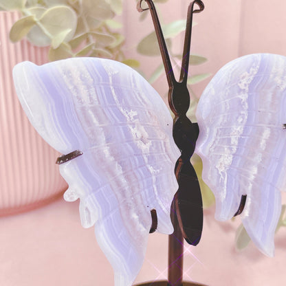 Blue Lace Agate Small Butterfly Wings - Black Stand 13cm