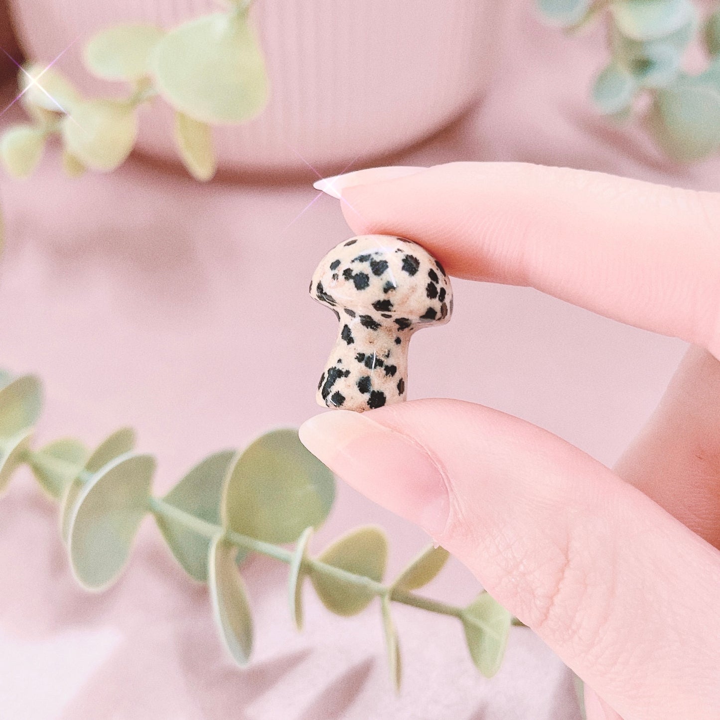 Dalmatian Jasper Mini Mushroom