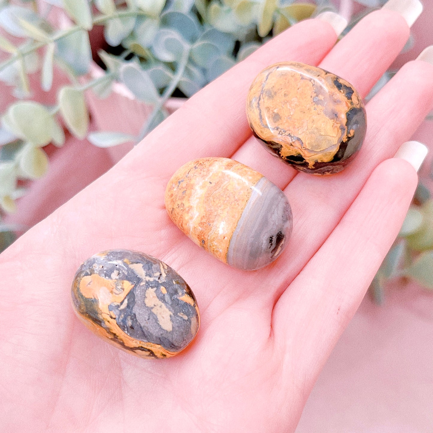 Bumblebee Jasper Tumble