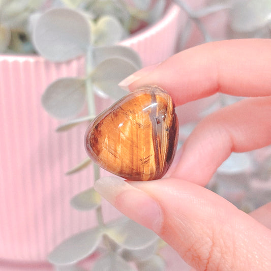 Tiger Eye Tumble