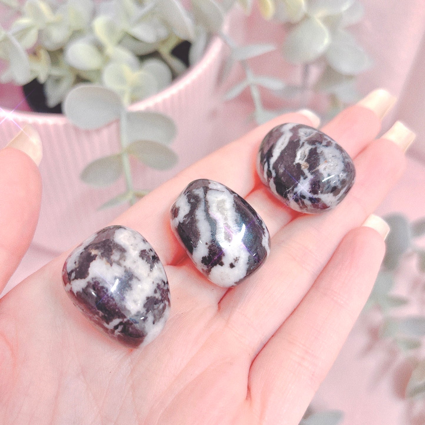 Black + White Zebra Jasper Tumble