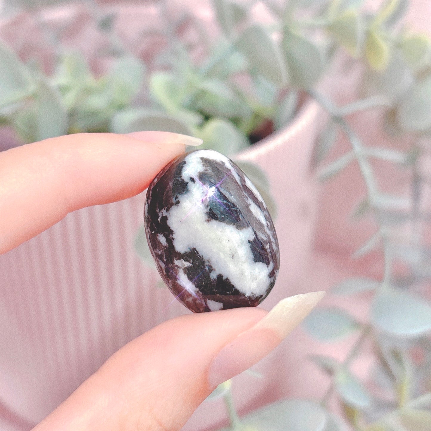 Black + White Zebra Jasper Tumble