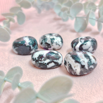Black + White Zebra Jasper Tumble
