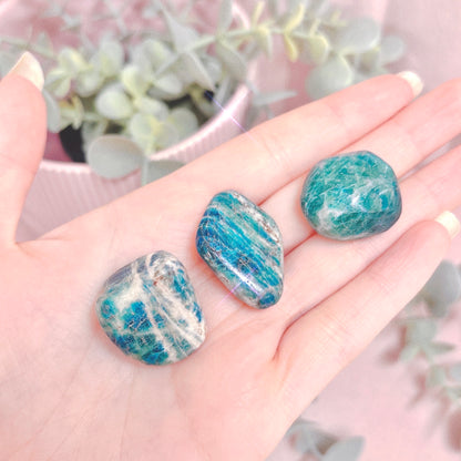 Afghan Sodalite Tumble