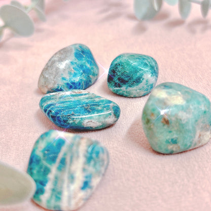 Afghan Sodalite Tumble