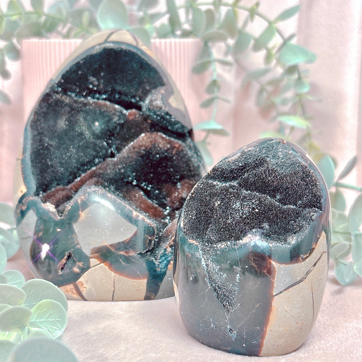 Black Septarian Freeform - Choose Your Size!