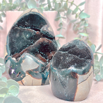 Black Septarian Freeform - Choose Your Size!