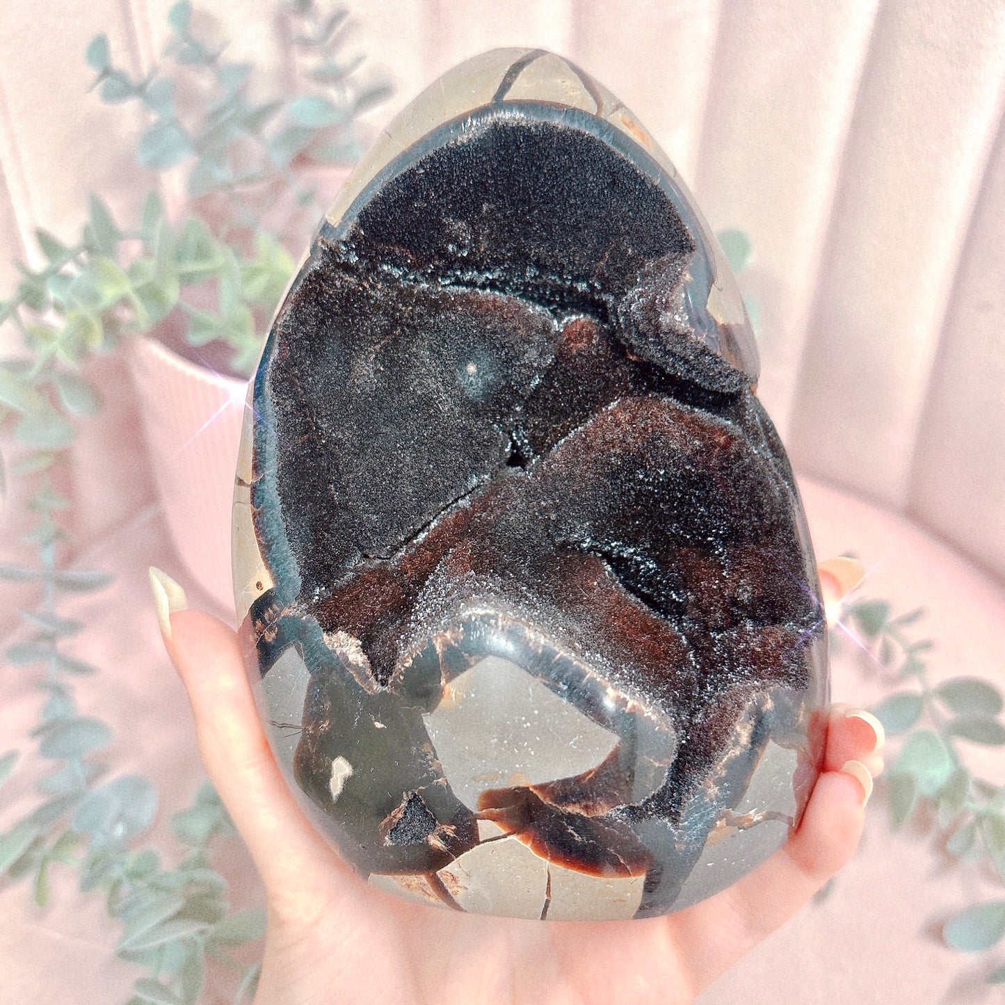 Black Septarian Freeform - Choose Your Size!
