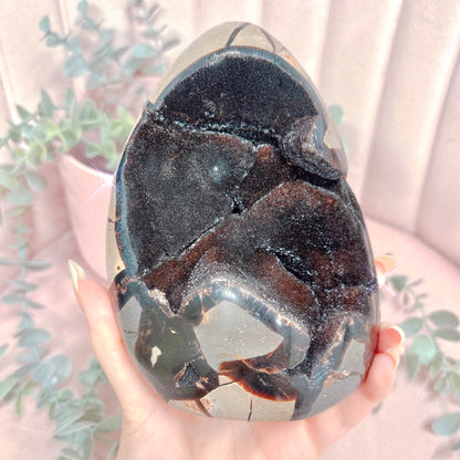Black Septarian Freeform - Choose Your Size!