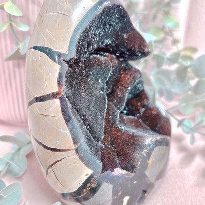 Black Septarian Freeform - Choose Your Size!