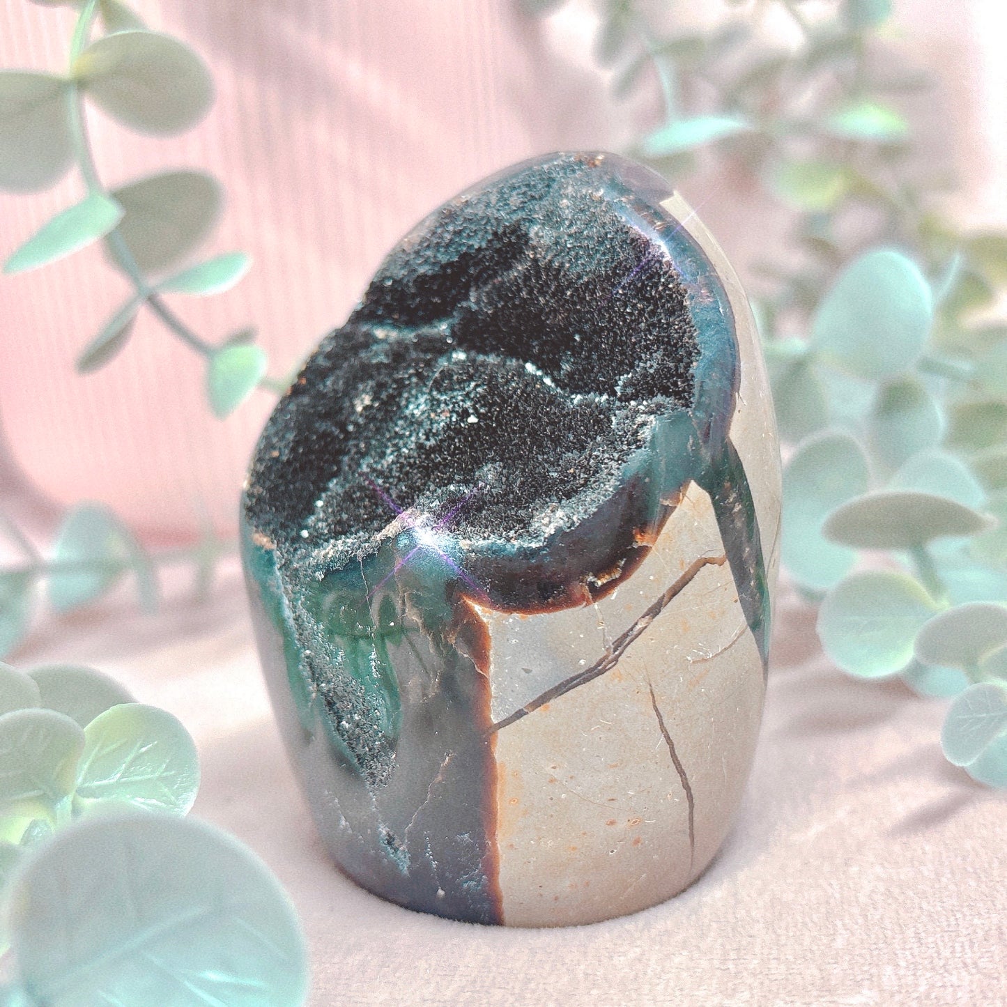 Black Septarian Freeform - Choose Your Size!