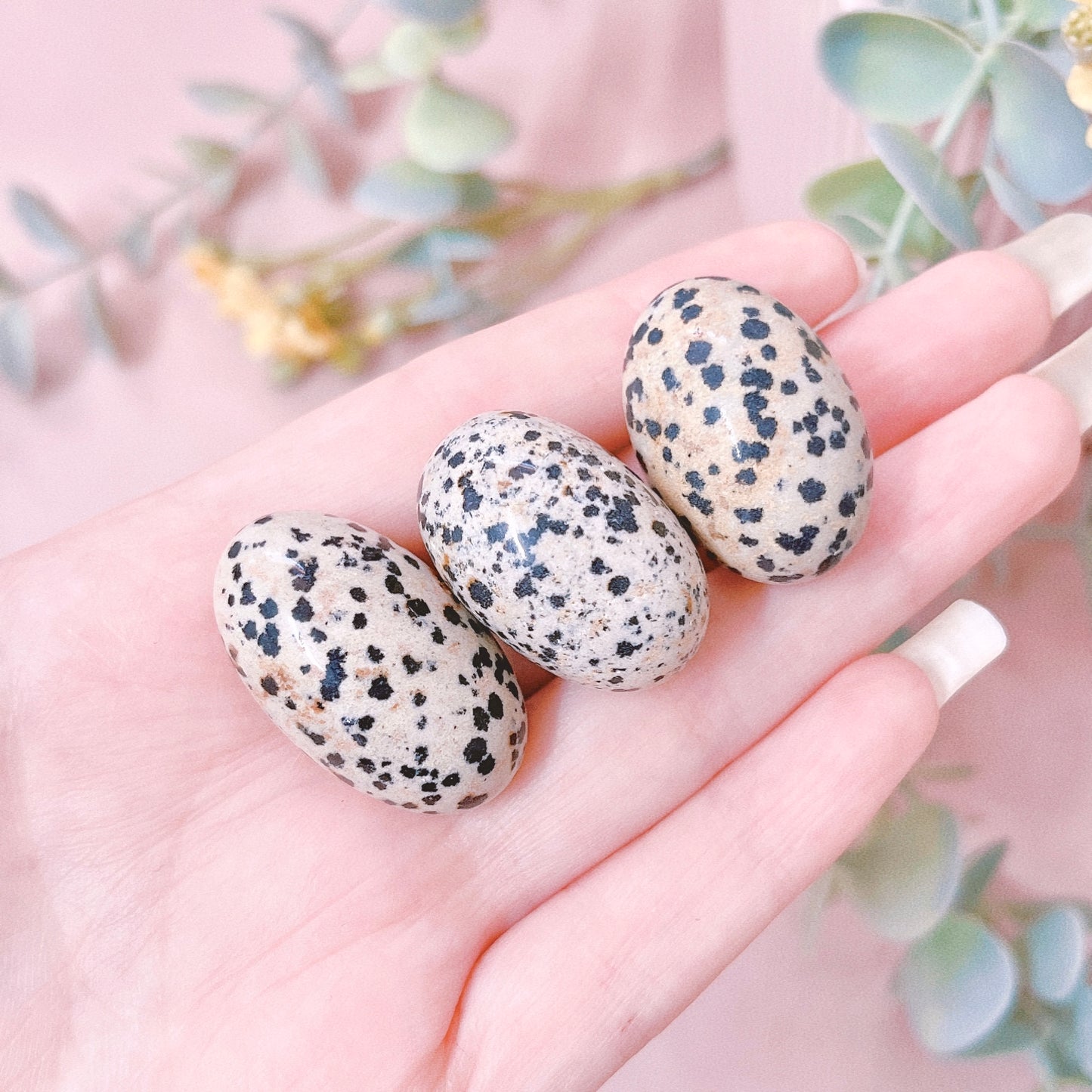 Dalmatian Jasper Tumble