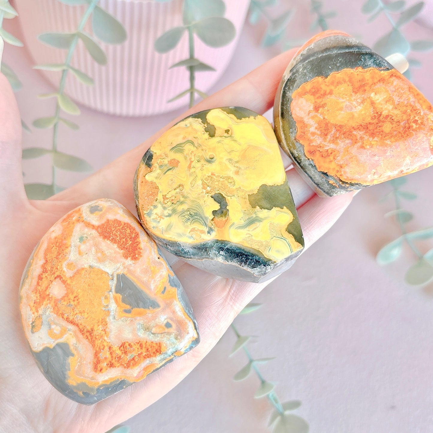 Bumblebee Jasper Freeform