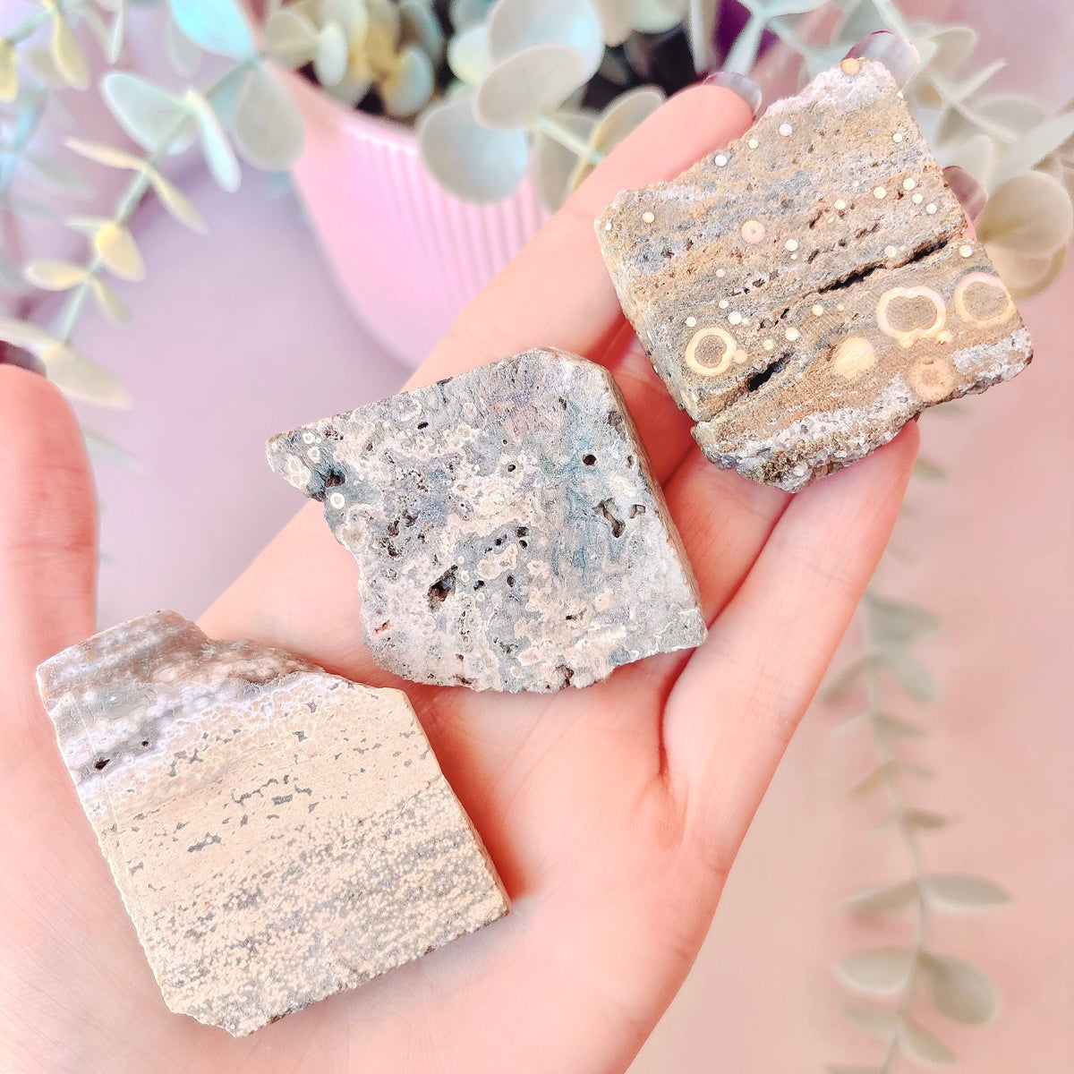 Ocean Jasper Slice