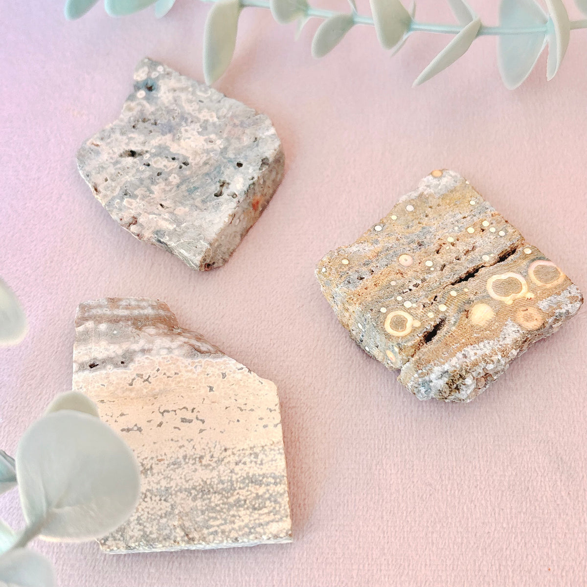 Ocean Jasper Slice