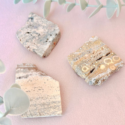 Ocean Jasper Slice