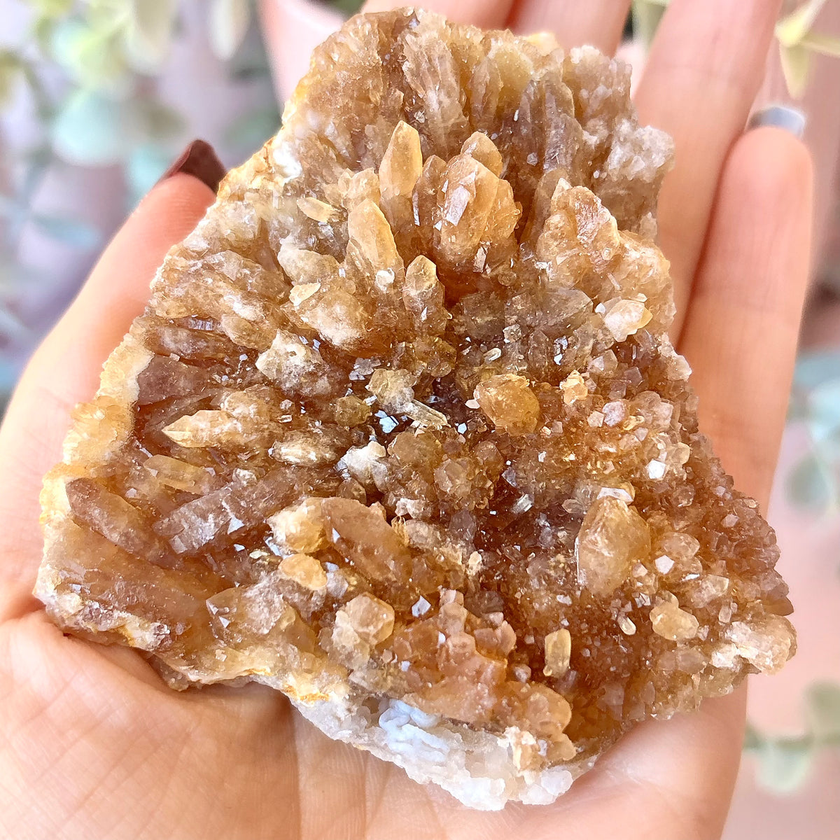 Natural Citrine Cluster
