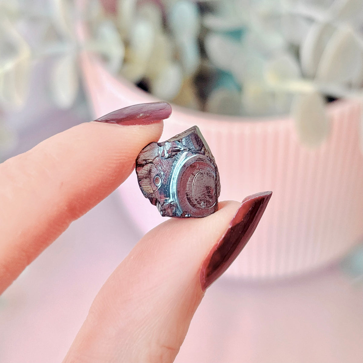 Elite Noble Shungite Natural