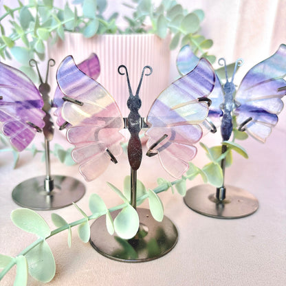 Rainbow Fluorite Butterfly Wings - Black Stand 11cm