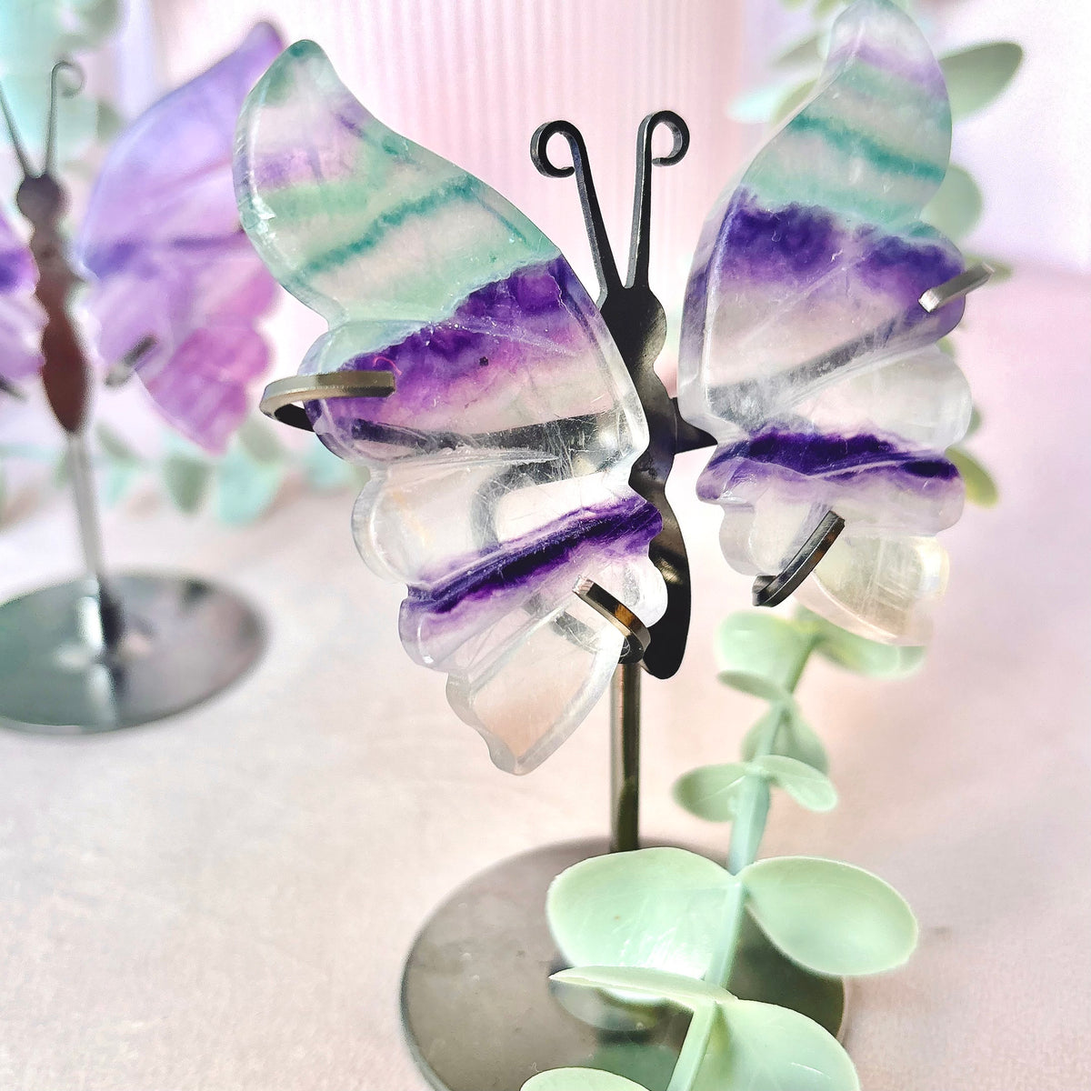 Rainbow Fluorite Butterfly Wings - Black Stand 11cm
