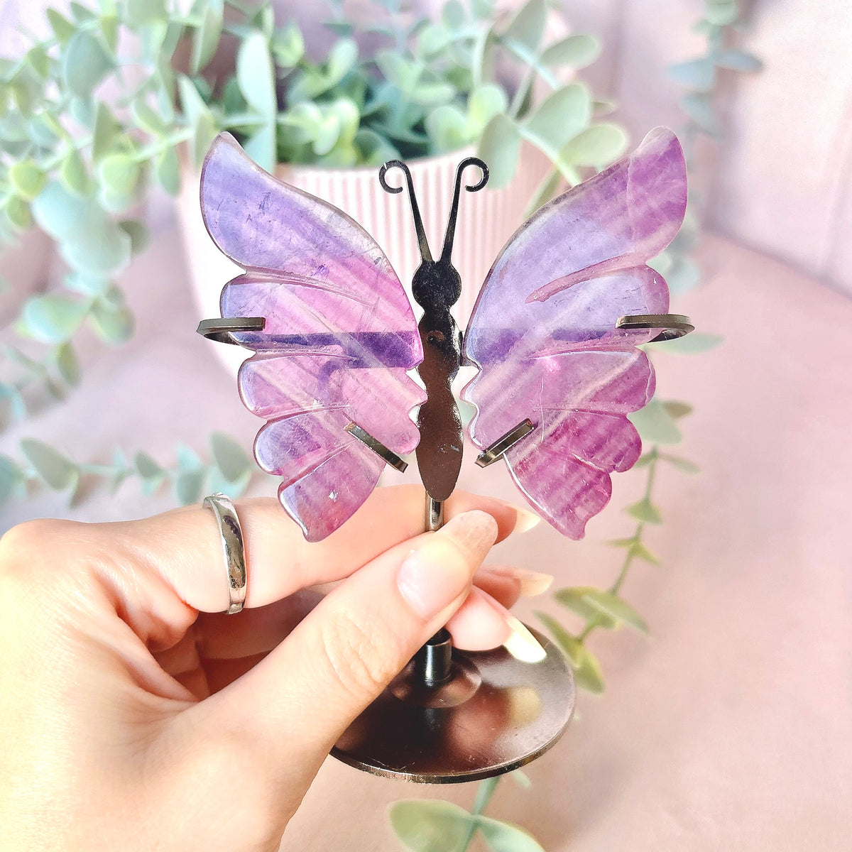 Rainbow Fluorite Butterfly Wings - Black Stand 11cm